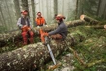 G&A Rentals LTD chainsaw product G&A Rentals LTD chainsaw product